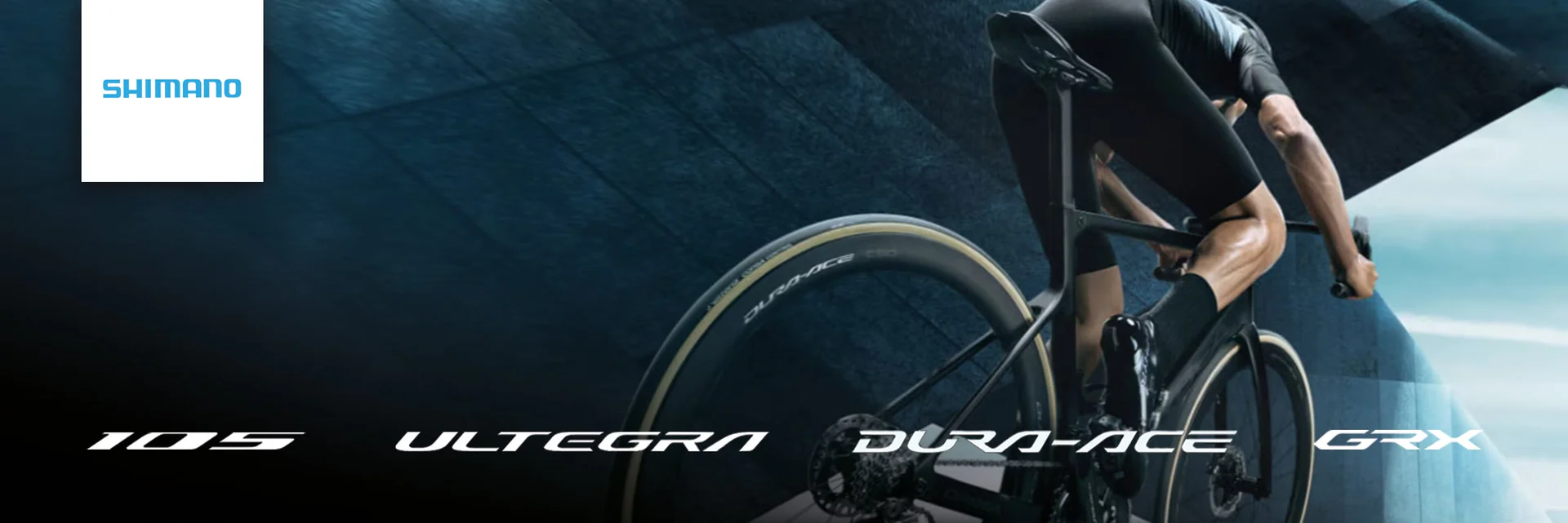 Domina Ogni Sentiero con Probikeshop